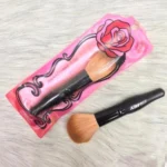 Makeup Brush
