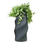 Flower vase, Flower vase drawing, Flower vase design, Flower vase images, Flower vase price in sri lanka,Flower vase sri lanka,Buy Vases & Vessels Online at Best Price in Srilanka,Vase for Sale at Best Price in Sri Lanka, Vases for sale in Batapola, Sri Lanka,Glass Vases,Vases/Bowls/Pots Archives,Indoor Flower Vase,Ceramic flower vase price in sri lanka,Ceramic Vases in Sri Lanka,Flower Vases for sale in Sri Lanka,Arpico Flower Vase,Flower vase price in sri lanka daraz,White flower vase price in sri lanka,Big Flower Vase price in Sri Lanka,Plastic Flower Vase price in Sri Lanka